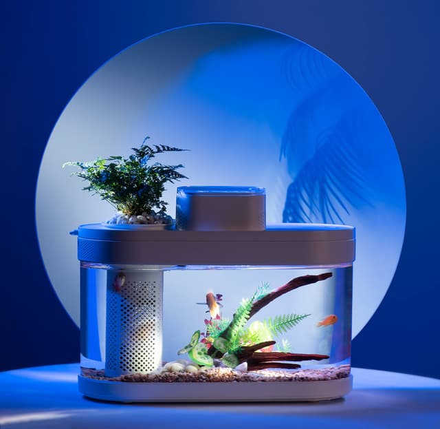 Xiaomi Mijia aqlli akvarium taqdim etildi