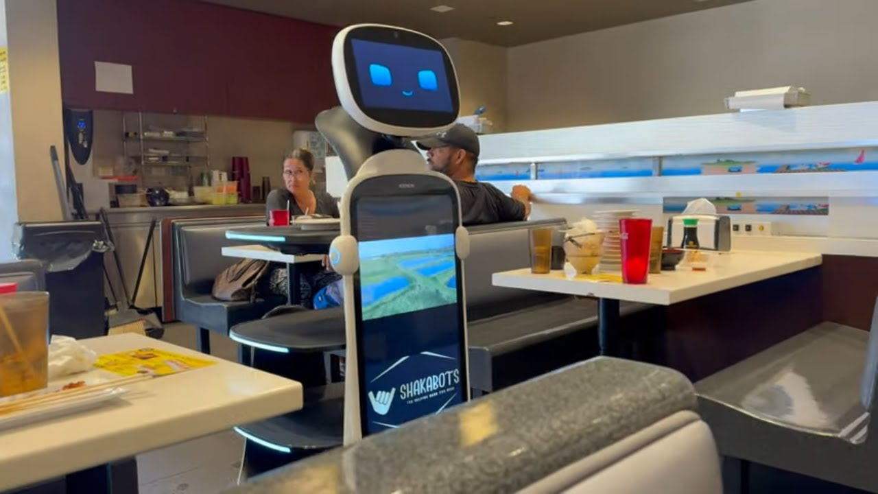 Android yaratuvchisi Endi Rubin gumanoid robotlarni ishlab chiqish bo‘yicha Genki Robotics kompaniyasiga asos solgan.
